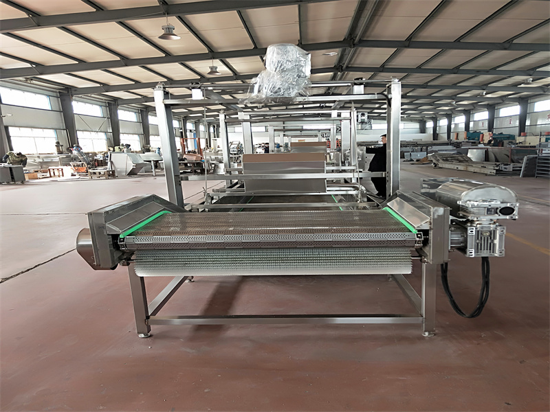 酸辣白菜清洗風(fēng)干線