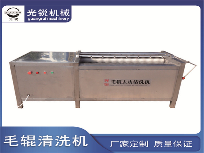 毛輥去皮清洗機(jī)