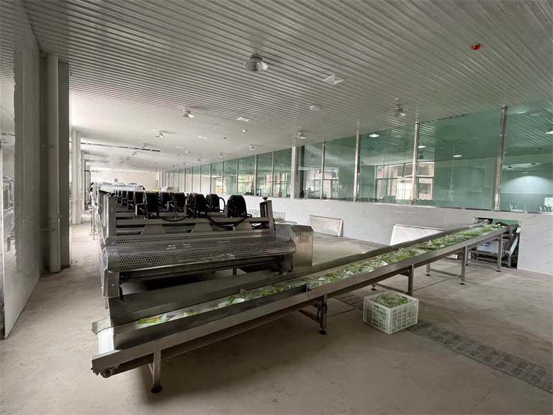 泡椒竹筍巴氏滅菌、冷卻、風(fēng)干流水線