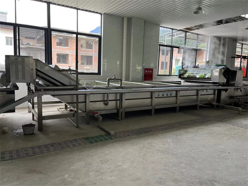泡椒竹筍巴氏滅菌、冷卻、風(fēng)干流水線